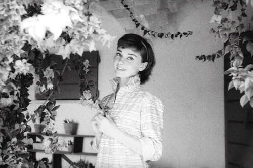 wehadfacesthen - Audrey Hepburn at home in Rome, 1955