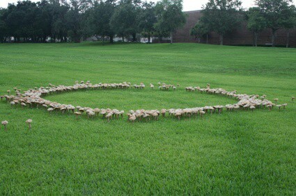 thewiccanwonders - I’d love to find a fairy ring one day. I’d just...