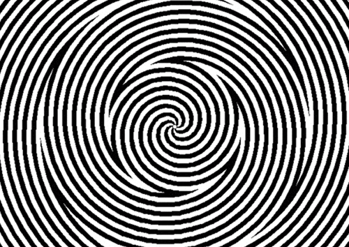 sofunnygifs - Look at the center of this image for 30sec, then...
