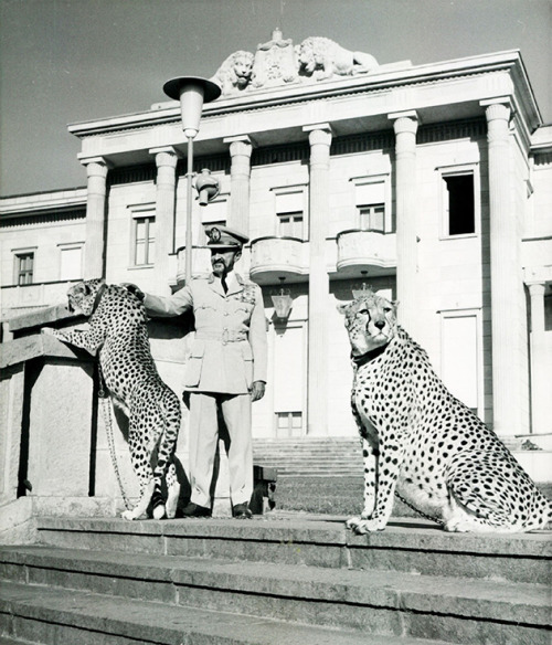 historium - Emperor Haile Selassie poses with his Cheetahs at the...