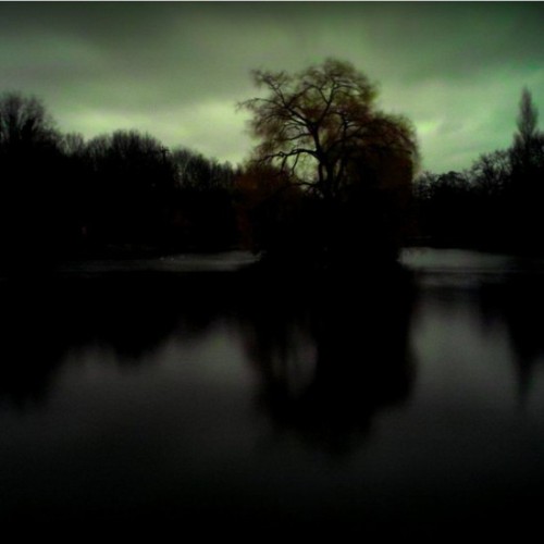 nobrashfestivity - Andrei Tarkovsky, Polaroid