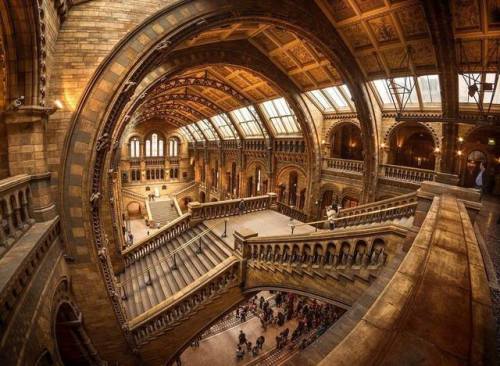 steampunktendencies:Natural History Museum, London...