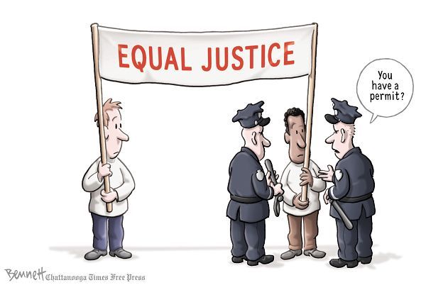 Image result for white privilege cartoon