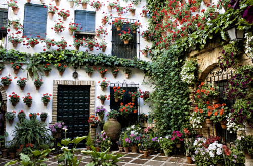 just-wanna-travel:Cordoba, Spain