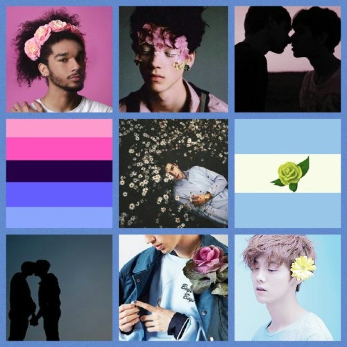 lgbt-aesthetics - Omni- MLM + Soft Flower Boys Aesthetic...