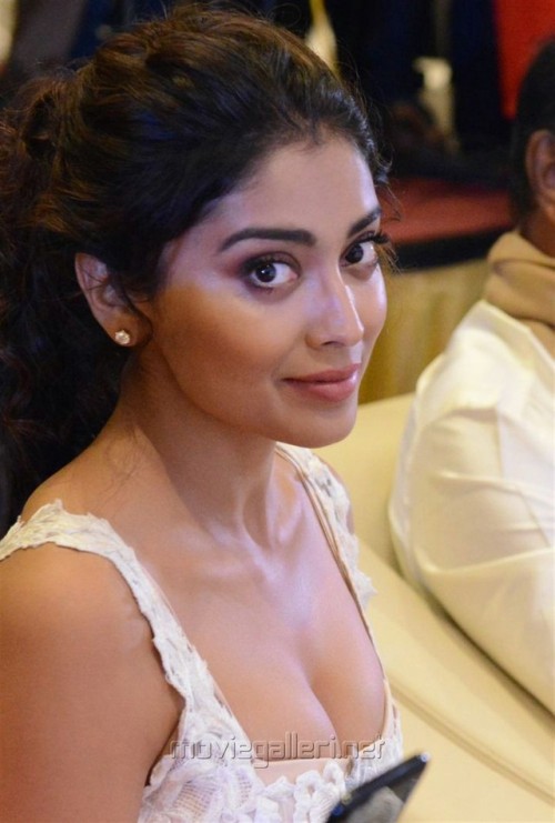 sexy-indian-actress - Shriya Saran#1028#35520...