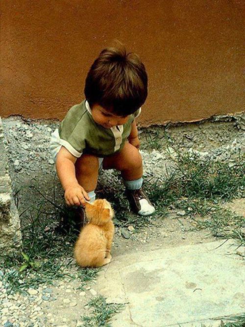 kittehkats - Kids & Cats