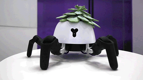 volcanize:solarpunk-aesthetic:This adorable little robot is...