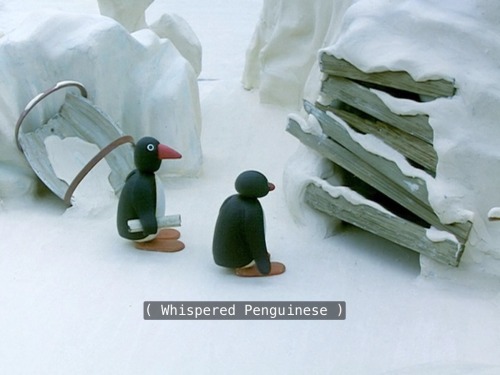 buckybarnesinthetardis - Decided to watch Pingu with subtitles...