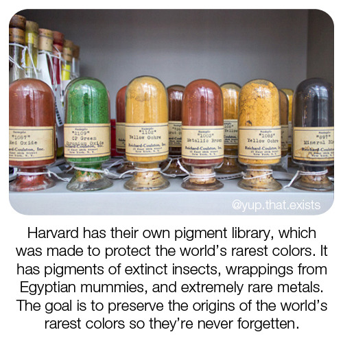 yup-that-exists - Harvard’s Pigment Library is one of a kind,...