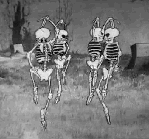 adventurelandia - The Skeleton Dance (1929)