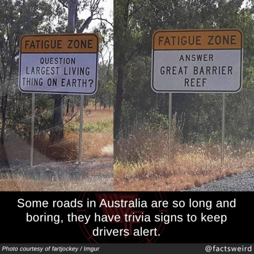 mindblowingfactz:Some roads in Australia are so long and...