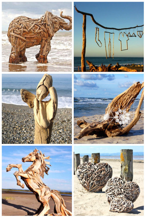 aenigmaticdays:Driftwood art: the art of salvaged materials