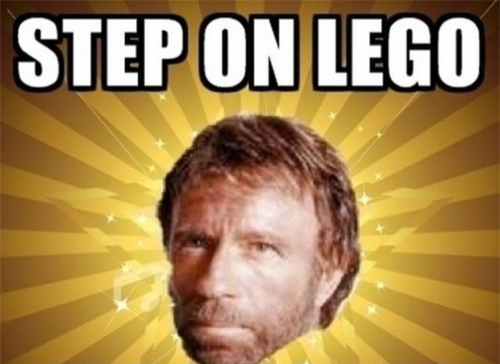 about-7-bees - about-7-bees - i discovered that you can make chuck norris memes infinitely funnier by...