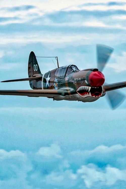 utwo:P40 Warhawk© american airpower museum
