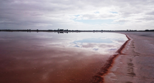 A salt lake. It’s red coloured because of the high concentration...