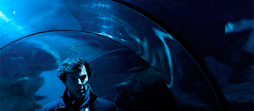 221bgaykerstreet - Sherlock at the Sea LifeLondon Aquarium.