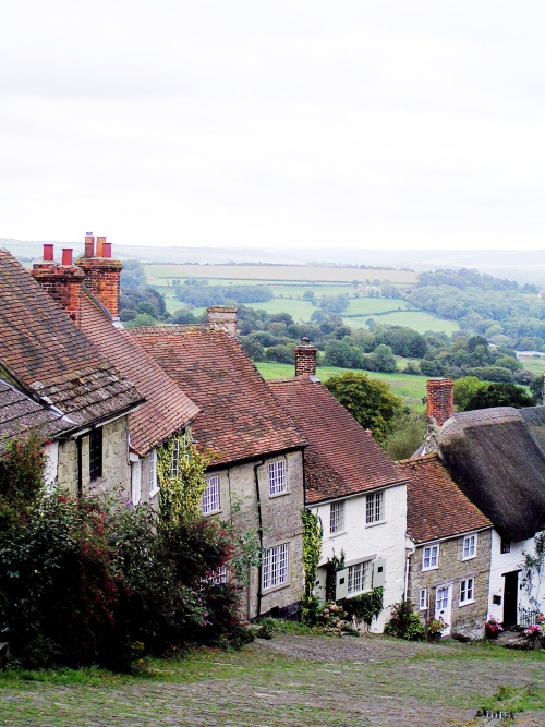 travelingcolors - Gold Hill, Shaftesbury | England (by Ann...