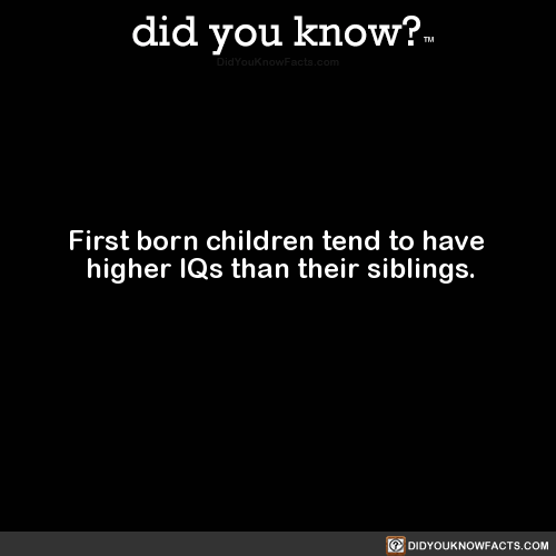 first-born-children-tend-to-have-higher-iqs-than