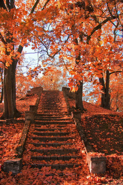 silvaris:Autumn in old Park by Dan RaizPhoto