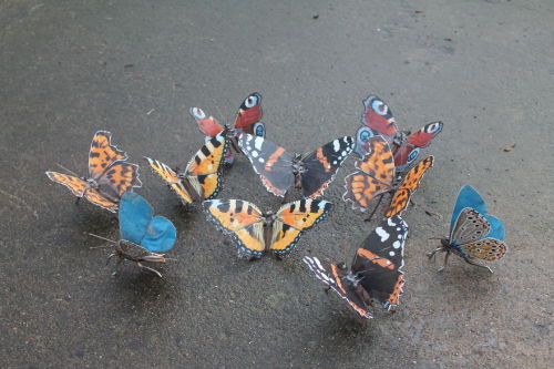 awesome-picz - Artist Turns Scrap Metal Into Animals.