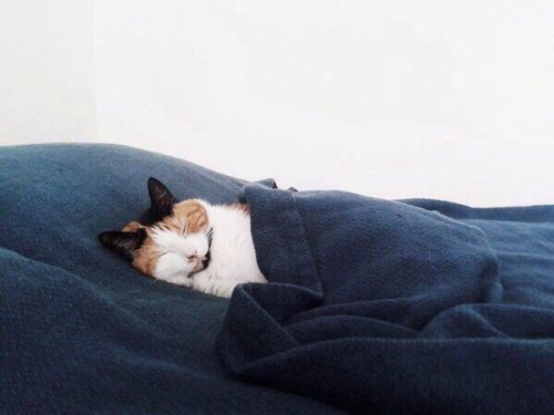 Me when I don’t want to get up