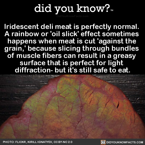 iridescent-deli-meat-is-perfectly-normal-a