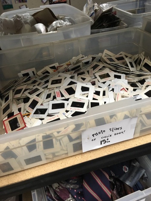 shiftythrifting - A gigantic box of photo slides with the same...