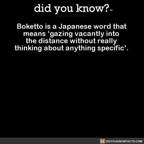 boketto-is-a-japanese-word-that-means-gazing