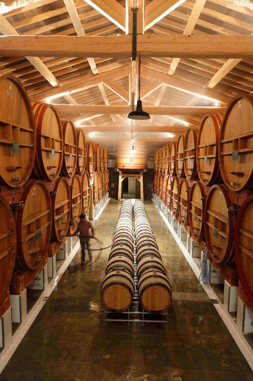 archatlas - Beautiful Vineyards From Around the WorldIdentified...