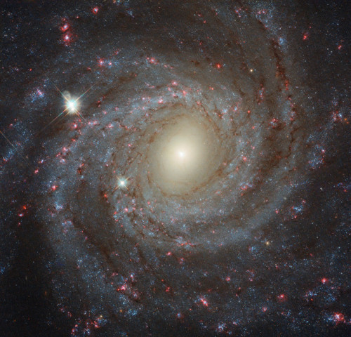 traverse-our-universe - Spiral galaxy NGC 3344 via APOD/NASA;...