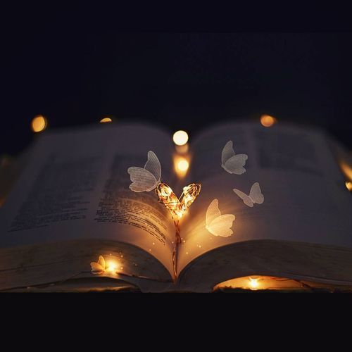 lovealwaysbeautiful - Lost In an enchanted world of books,...