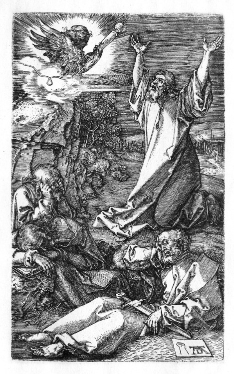 Passion (of Magic Wand) 02 by Albrecht Dürer.