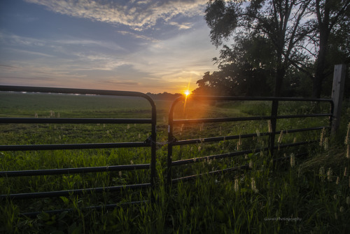 garettphotography - July 4th, 2019 - Dawn in Northwest Illinois |...
