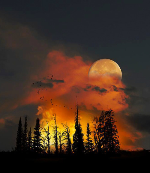coiour-my-world - Moonrise in Colorado, USA. ~ picture by Peter...