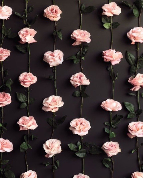 Vintage-roses-tumblr-wallpaper-7.jpg | HD Wallpapers
