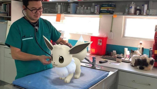 retrogamingblog:A veterinary hospital in Mexico used Pokemon...