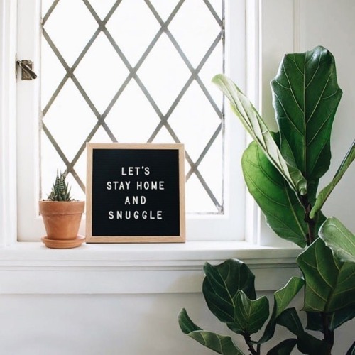 culturenlifestyle - Quirky & Relatable Letter Boards to...