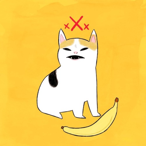 chuckdrawsthings:the duality of cat