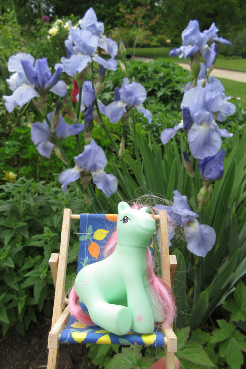 September is the month that Minty goes to Oxford Botanic...