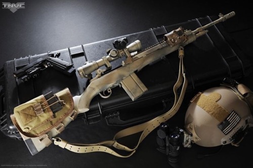 weaponscompany:M1A