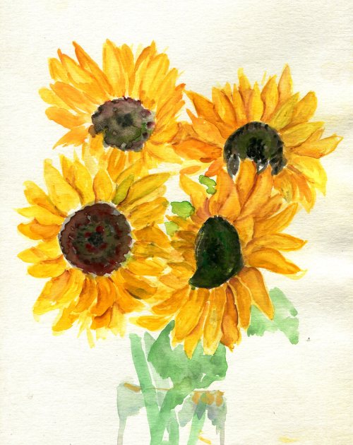 havekat - Gettin’ Some SunWatercolor and Chinese Ink On...