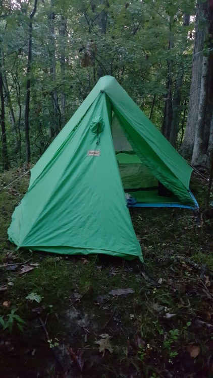 greensarah - Camping with @couldbenewzeitgeist