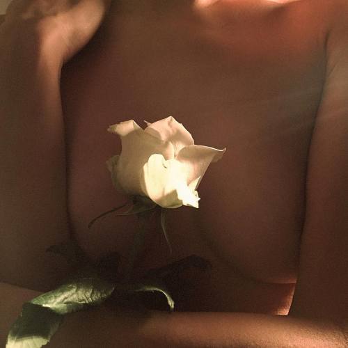 isavazquez98 - One women one white rose a symbol of purity