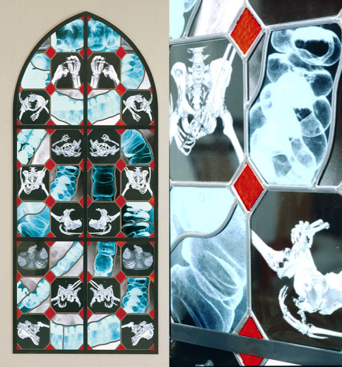 notbecauseofvictories - X-Ray and Anatomical Stained Glass...