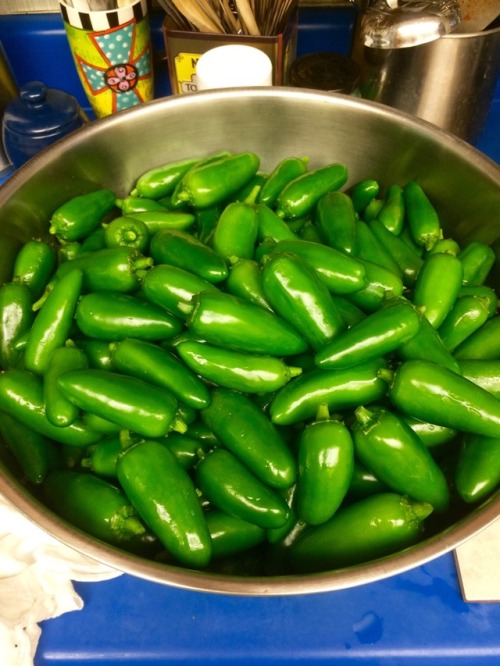 Pickling jalapeño and serrano peppers fresh from our farm