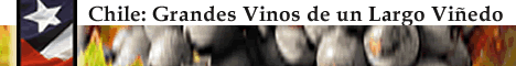 Vinos argentina