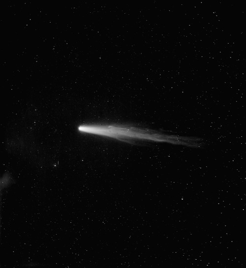 photos-of-space - Halley’s Comet - photographic plate taken in...