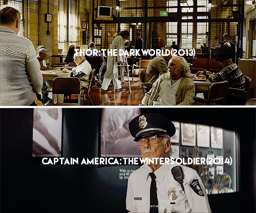 catandcrown:chrjshemsworth:every single STAN LEE cameo in the...
