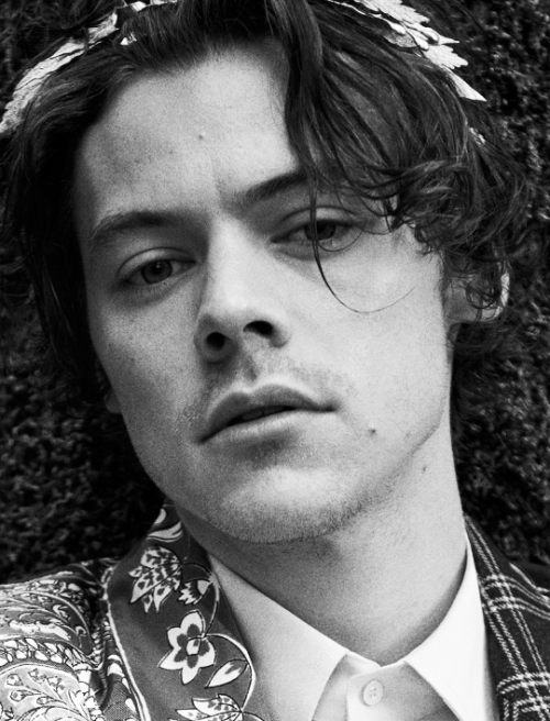 thedailyharry:Harry Styles for Gucci Cruise 2019 Tailoring...